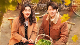 出品方稱短劇《家里家外》被抄襲，表示將依法追究