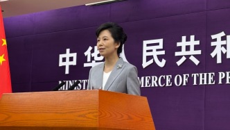 中國(guó)“0公里”二手汽車出口引國(guó)際關(guān)注，商務(wù)部回應(yīng)