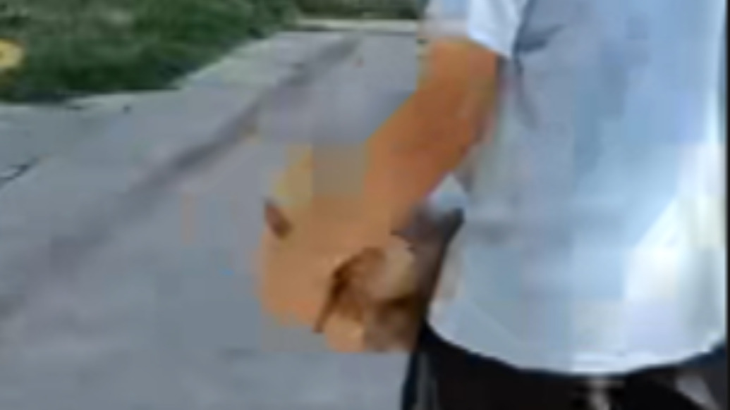 西安一男孩嫌学习苦，被妈妈带去送外卖几小时就累服了