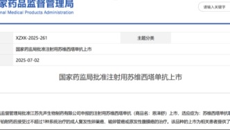 填补铂耐药卵巢癌靶向治疗空白​，一类新药苏维西塔单抗获批上市