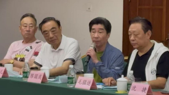 《三毛學生意》復排紀念李九松，上?；缰泵妗皟葢n外患”