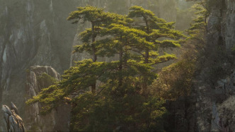 69岁海关总署原党组成员、国家口岸办原主任黄胜强逝世