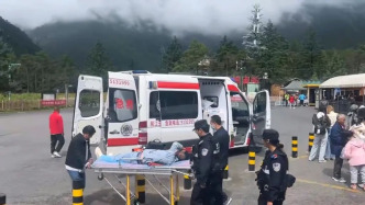 云南丽江一导游称遭游客殴打，官方：警方正按治安案件办理