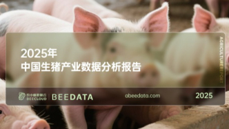 2025年中国生猪产业数据揭示新趋势