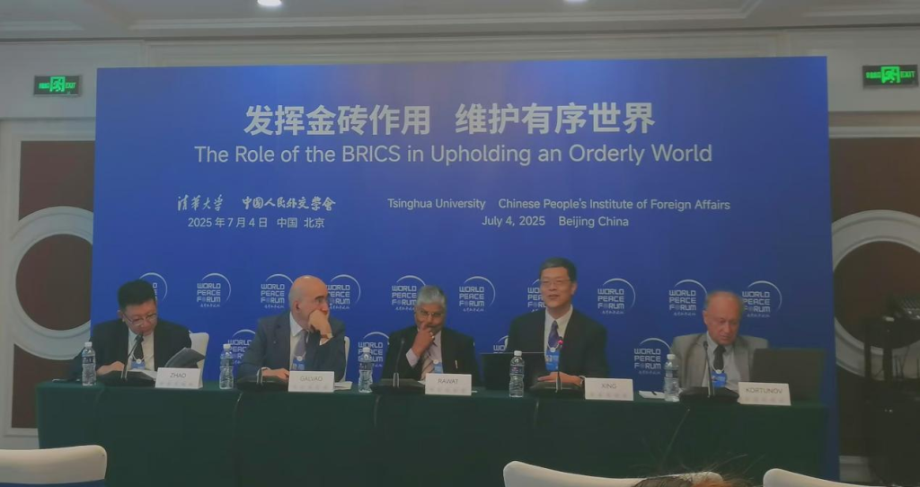 世界和平论坛｜金砖对国际秩序变革应有雄心，“不是银砖更不能变土砖”
