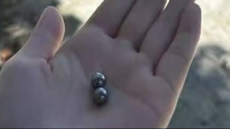 重庆一男子怀疑邻家两只猫咬死自家鸽子叫朋友将猫射杀，二人被行拘