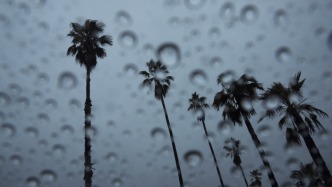 臺(tái)風(fēng)“丹娜絲”預(yù)計(jì)今天夜間登陸或擦過(guò)臺(tái)灣西部一帶沿海