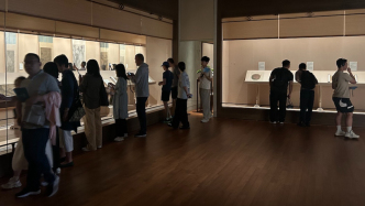 破解博物館預(yù)約難｜上海博物館的兩難