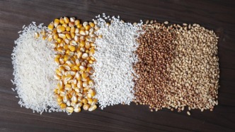 作物种质资源“天书计划”发布，开启AI解码种质资源新纪元