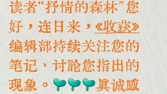 幾萬字的小說有幾十字雷同算抄襲嗎？張定浩：文學從字句開始