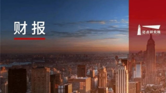 2025年一季度酒店集团财务分析报告