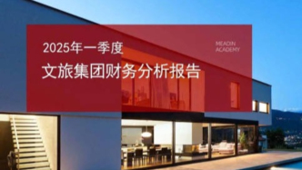 2025年一季度文旅集團財務分析報告