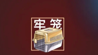 養(yǎng)狗的困境：當(dāng)責(zé)任變成枷鎖