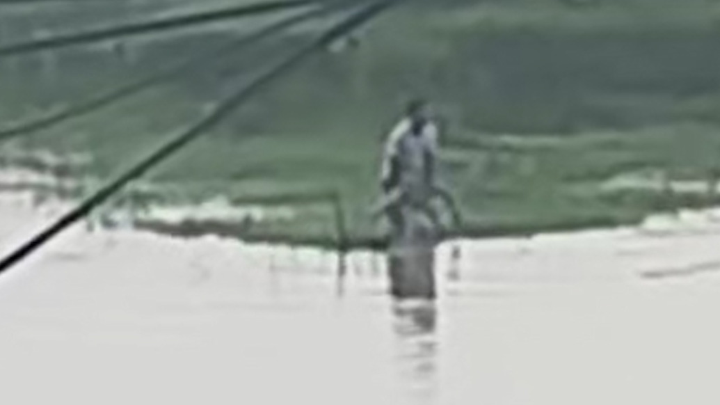 打魚男子發(fā)現(xiàn)女孩落水，奮不顧身跳河施救