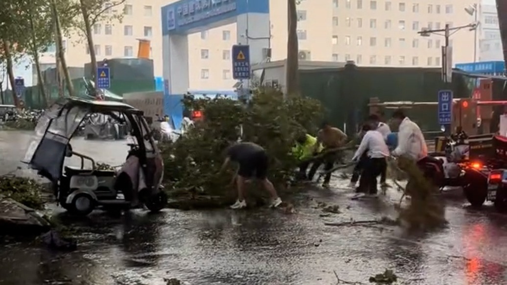 濟南暴雨天大樹倒地擋住救護車，眾人喊著號子挪樹開辟生命通道