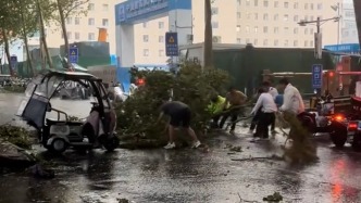 濟(jì)南暴雨天大樹倒地?fù)踝【茸o(hù)車，眾人喊著號(hào)子挪樹開辟生命通道