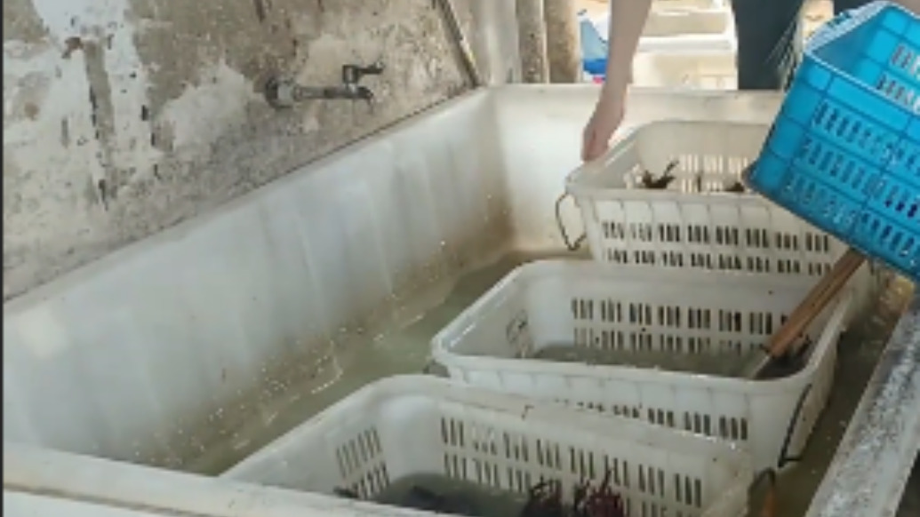 南京一网红店用草酸洗虾且多日不换水,被责令停业整改