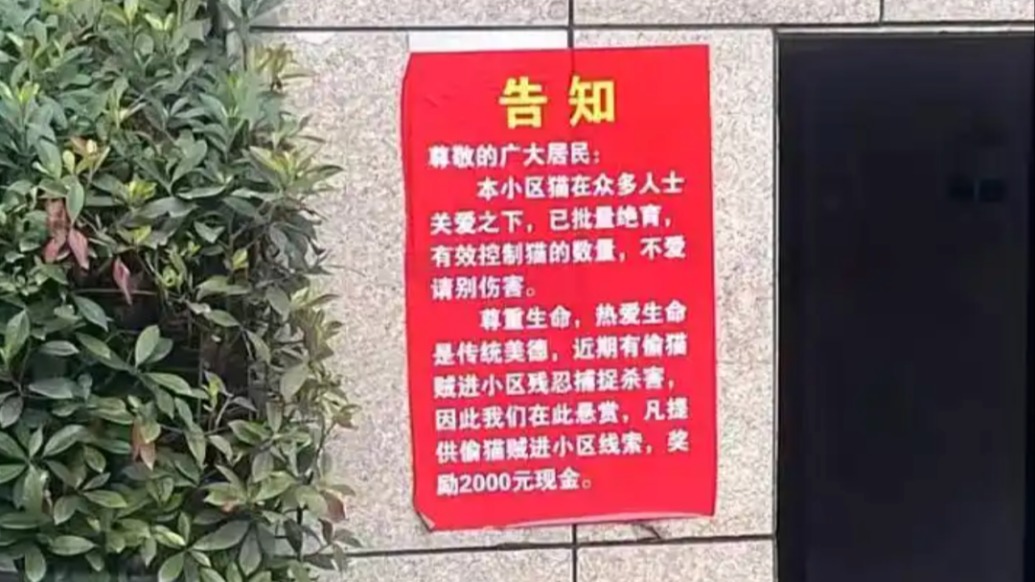 小區(qū)現(xiàn)懸賞告示兩千元尋“偷貓賊”？物業(yè)稱系業(yè)主張貼，當(dāng)?shù)亟值擂k未收到虐貓反映