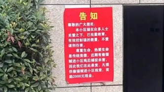 小区现悬赏告示两千元寻“偷猫贼”？物业称系业主张贴，当地街道办未收到虐猫反映