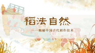 稻法自然——揭秘中国古代稻作技术