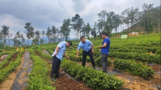 专利变“现金流”，菌房获“及时雨”：湖北银行金融“活水”精准浇灌荆楚创新沃土