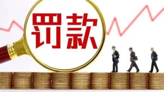 贷款资金被挪用，中国农业发展银行安康市分行被罚45万元