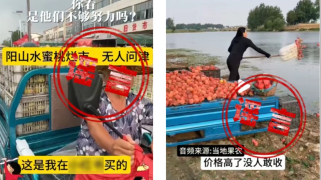 為牟利造謠“無錫陽山水蜜桃滯銷”，嫌疑人被采取刑事強制措施