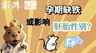孕期缺铁或影响胚胎性别？