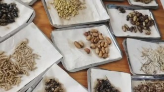 饭馆因菜品视频被认定为“违法广告”面临高额处罚，山东临沂：已介入调查