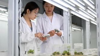 卓越工程師培養(yǎng)模式邁出重要一步，人民時評：把科研做在生產(chǎn)線上