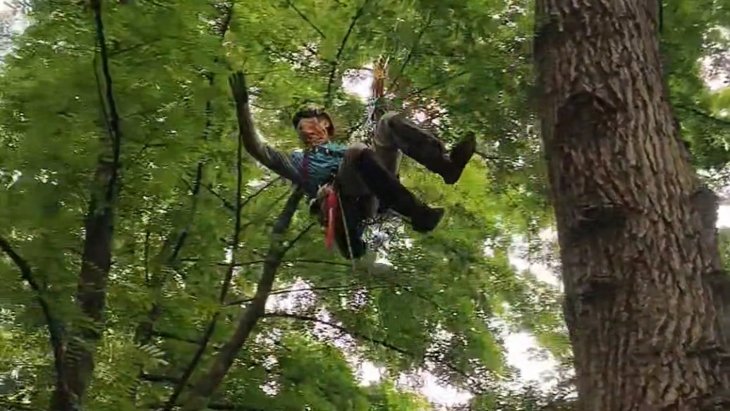 攀樹師徐瀟——“行走”在大樹之間