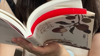 我不愿在低迷中吟唱：北京地鐵夏季書單（2025）