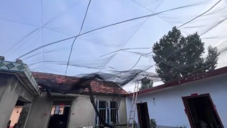 夫妻俩花400元为老家小院装“防蚊结界”