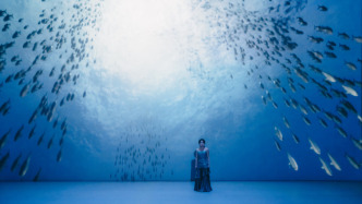 炎炎夏日，来西岸美术馆“上天入海”