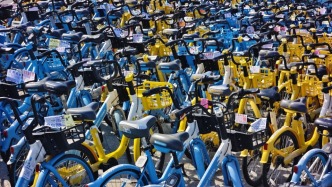 共享單車“吞噬”人行道？這場(chǎng)論壇建議共享清運(yùn)、呼吁完善法規(guī)