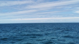 2025年海洋治理与发展学术交流会在大连海事大学召开