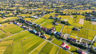 第二輪土地承包到期再延30年試點擴大