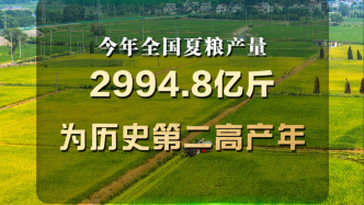 夏粮稳产丰收，七大亮点看上半年农业农村经济