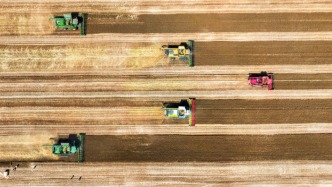 農(nóng)業(yè)農(nóng)村部：夏糧生產(chǎn)克服了局部較重旱情影響，是第二高產(chǎn)年份