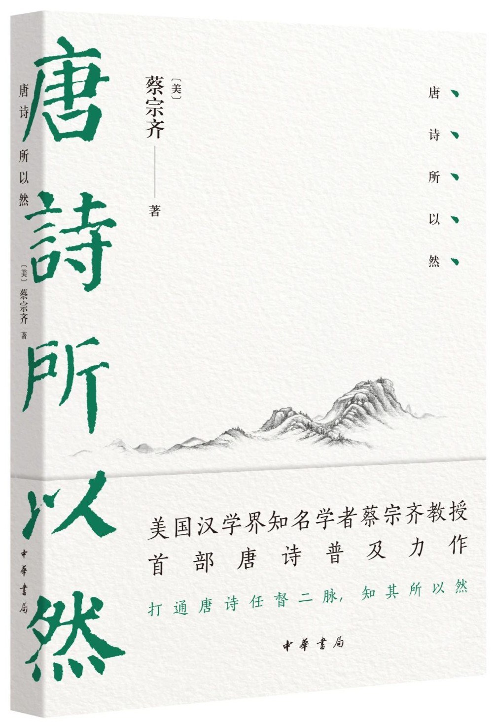 程羽黑评《唐诗所以然》｜唐诗何以然？
