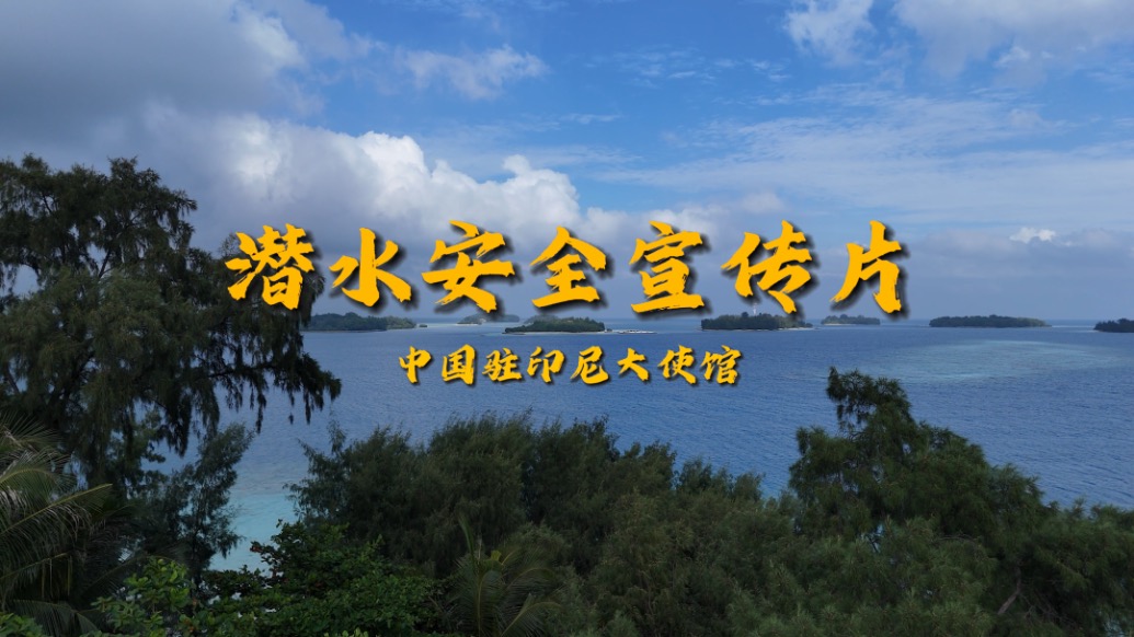 中國駐印尼大使館發(fā)布潛水安全宣傳片提醒游客注意安全