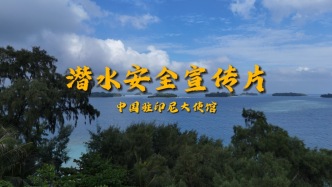 中國(guó)駐印尼大使館發(fā)布潛水安全宣傳片提醒游客注意安全