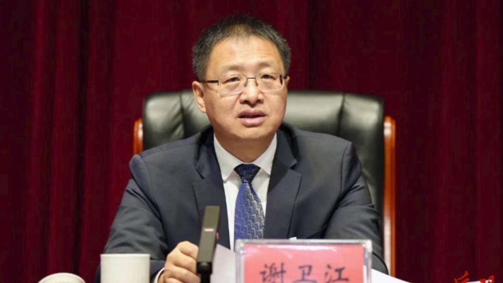 謝衛(wèi)江任湖南省委副書記