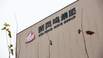 生物基材料窗口期即將來臨？滌綸龍頭增資1億布局