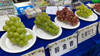 上海金山葡萄迎來(lái)豐收季，還有“新品”首次上市