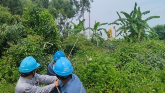 广东茂名启动防风I级应急响应、防汛I级应急响应