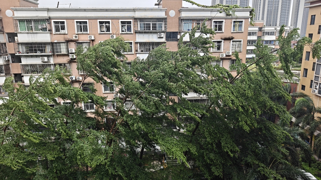 台风“韦帕”携强风雨而来，气象专家：华南需严阵以待