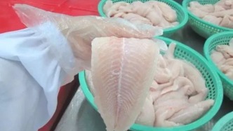 巴沙鱼到底是什么鱼？