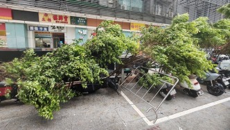 多部門調(diào)撥3.3萬件中央救災(zāi)物資支持粵瓊臺(tái)風(fēng)救災(zāi)救助