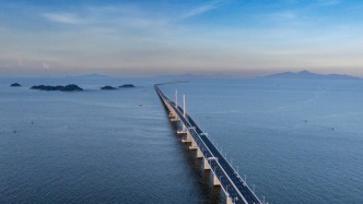 港珠澳大橋恢復通行及通關服務